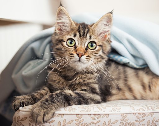 outdoor area for children to play